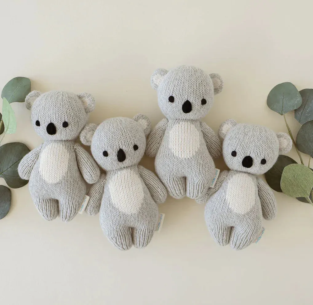 Baby koala