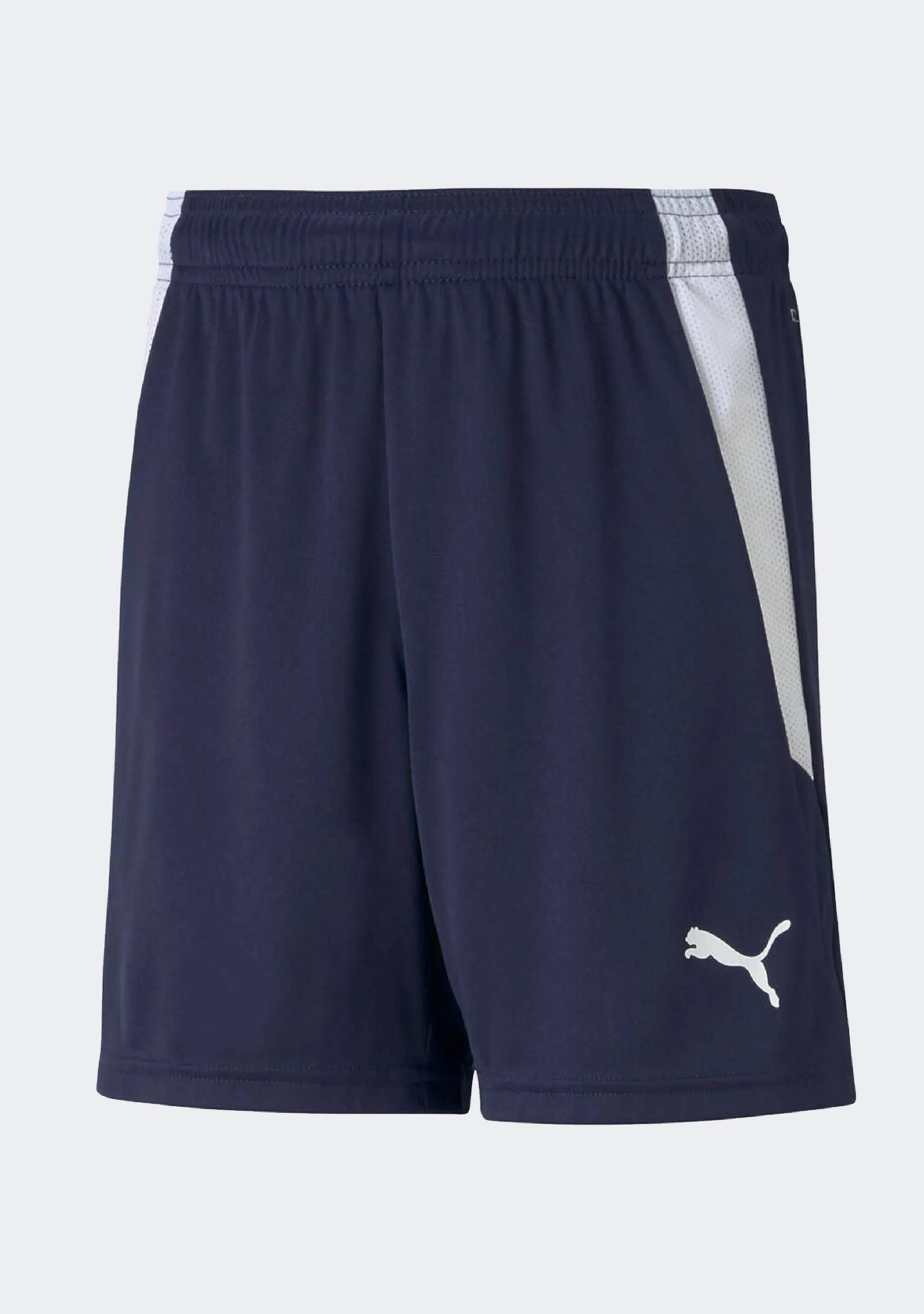 Puma Kids' Team Liga Shorts