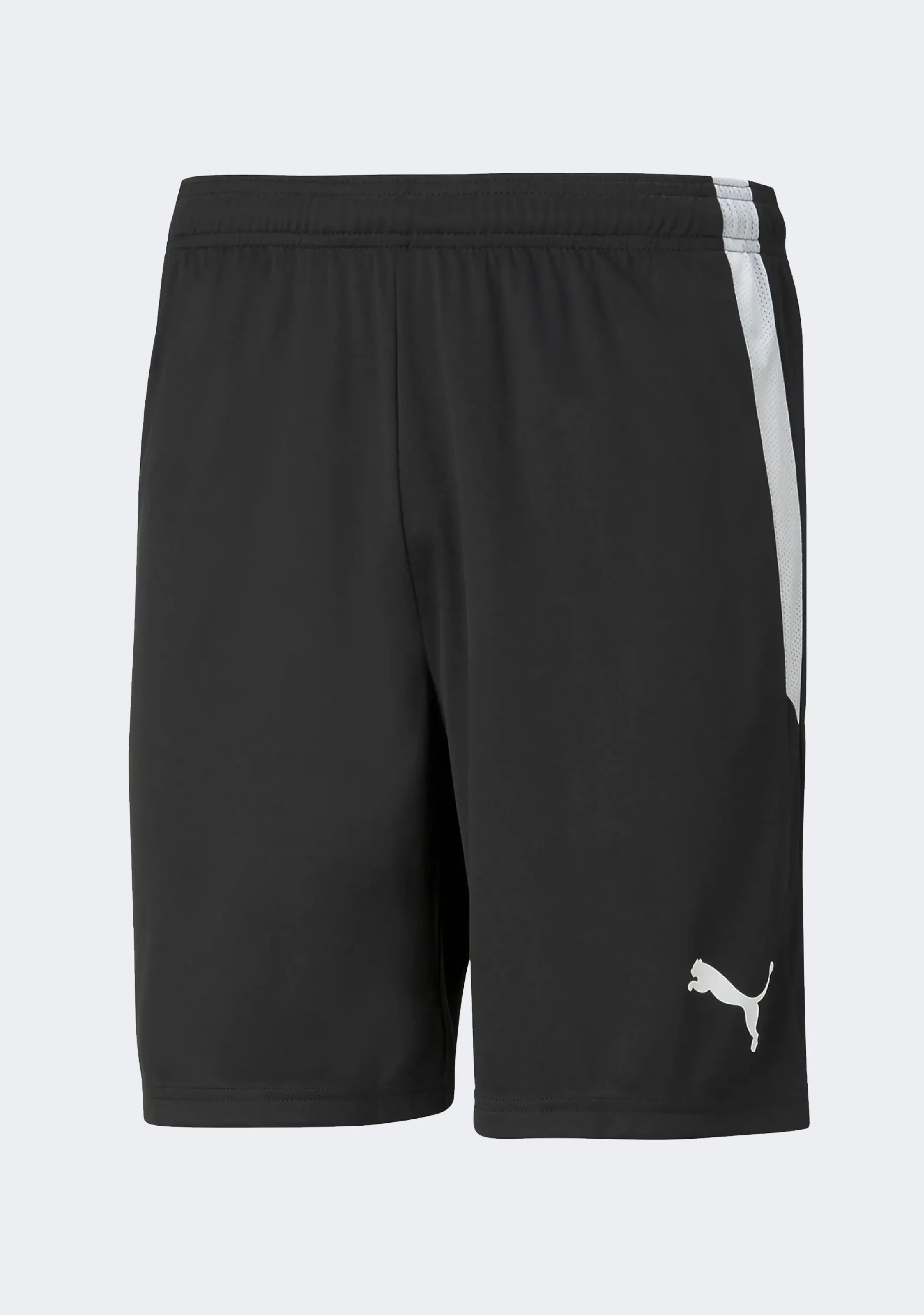 Puma Men's Team Liga Shorts