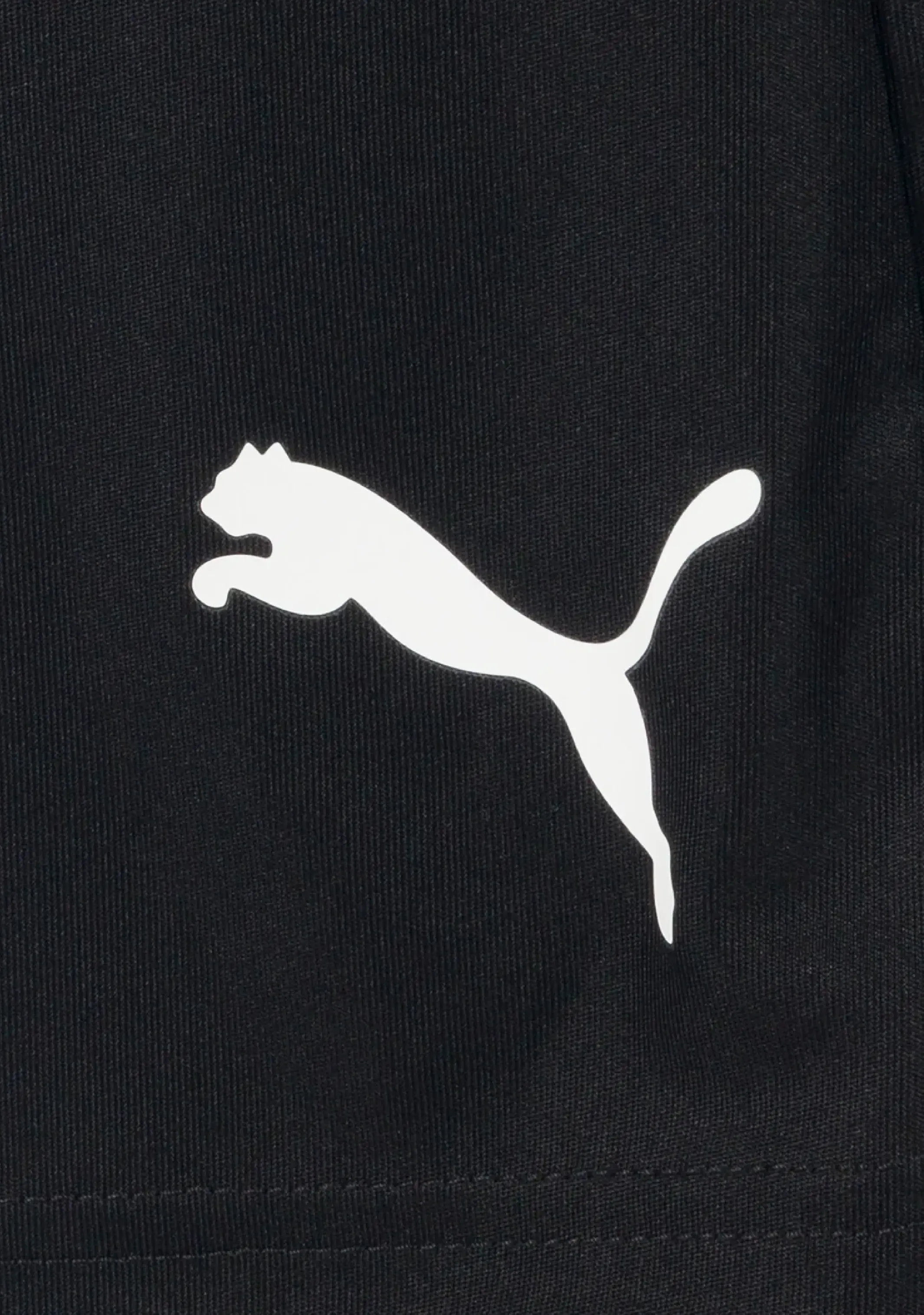 Puma Men's Team Liga Shorts