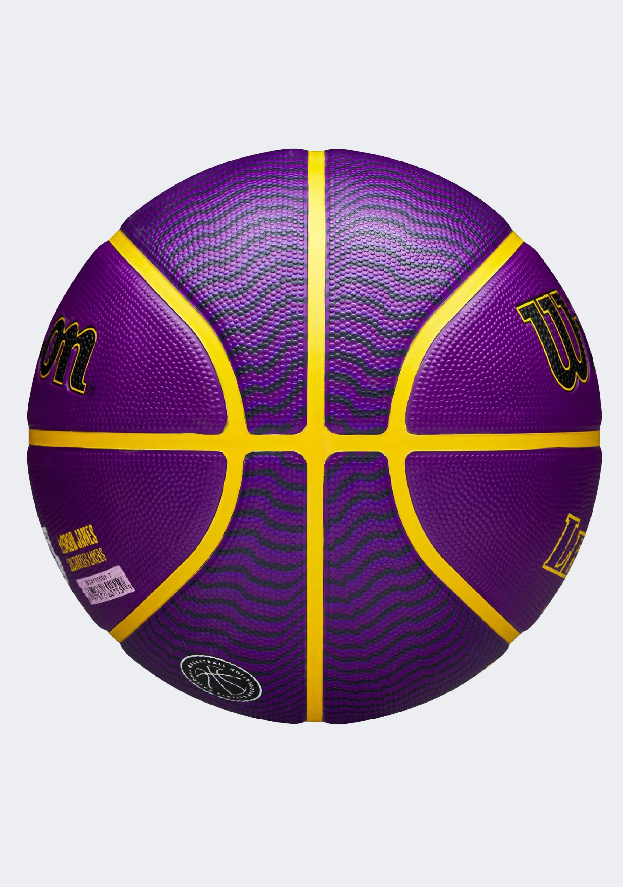 Wilson NBA Player Icon Lebron Basketball Size 7