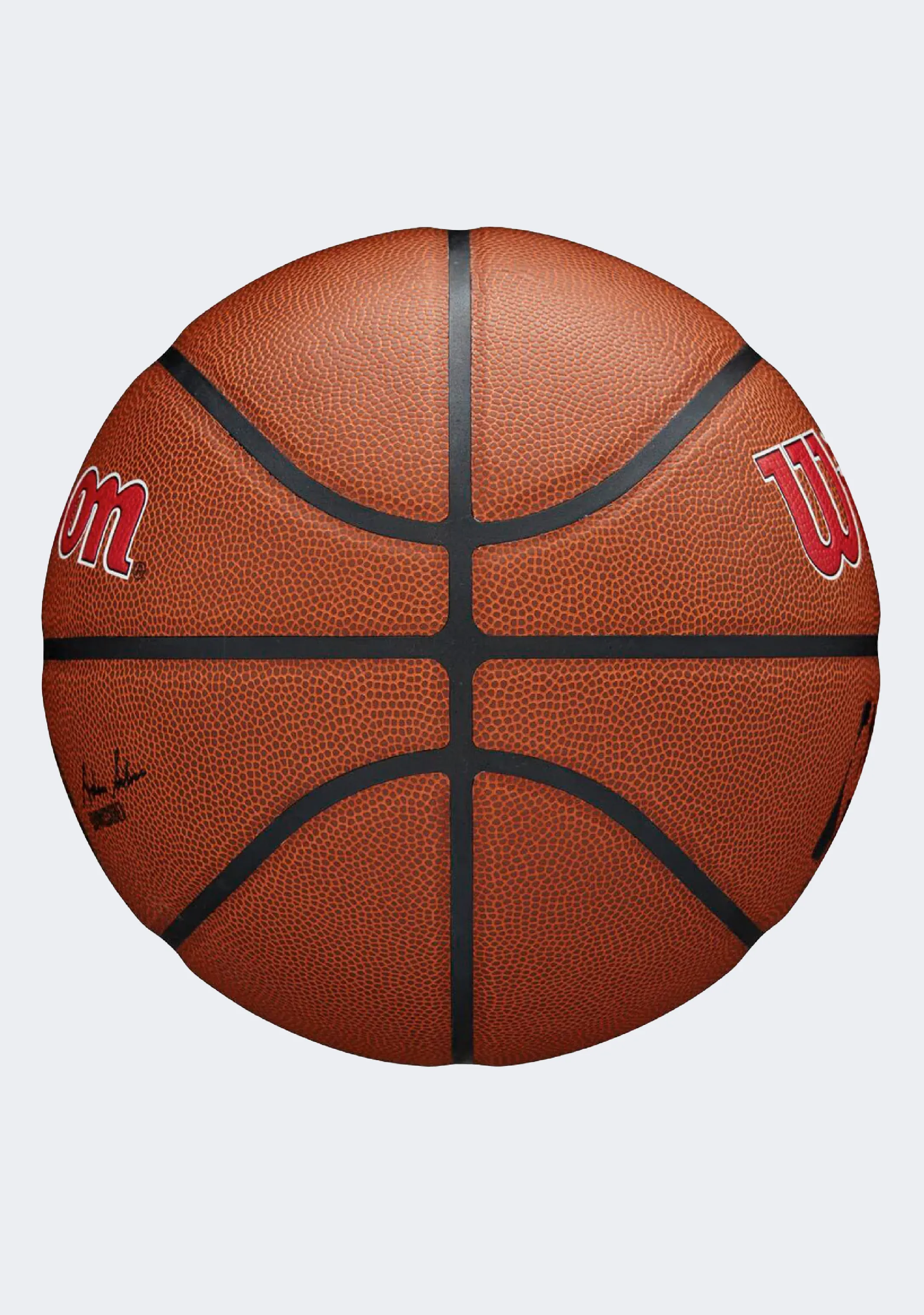 Wilson NBA Team Alliance Toronto Raptors