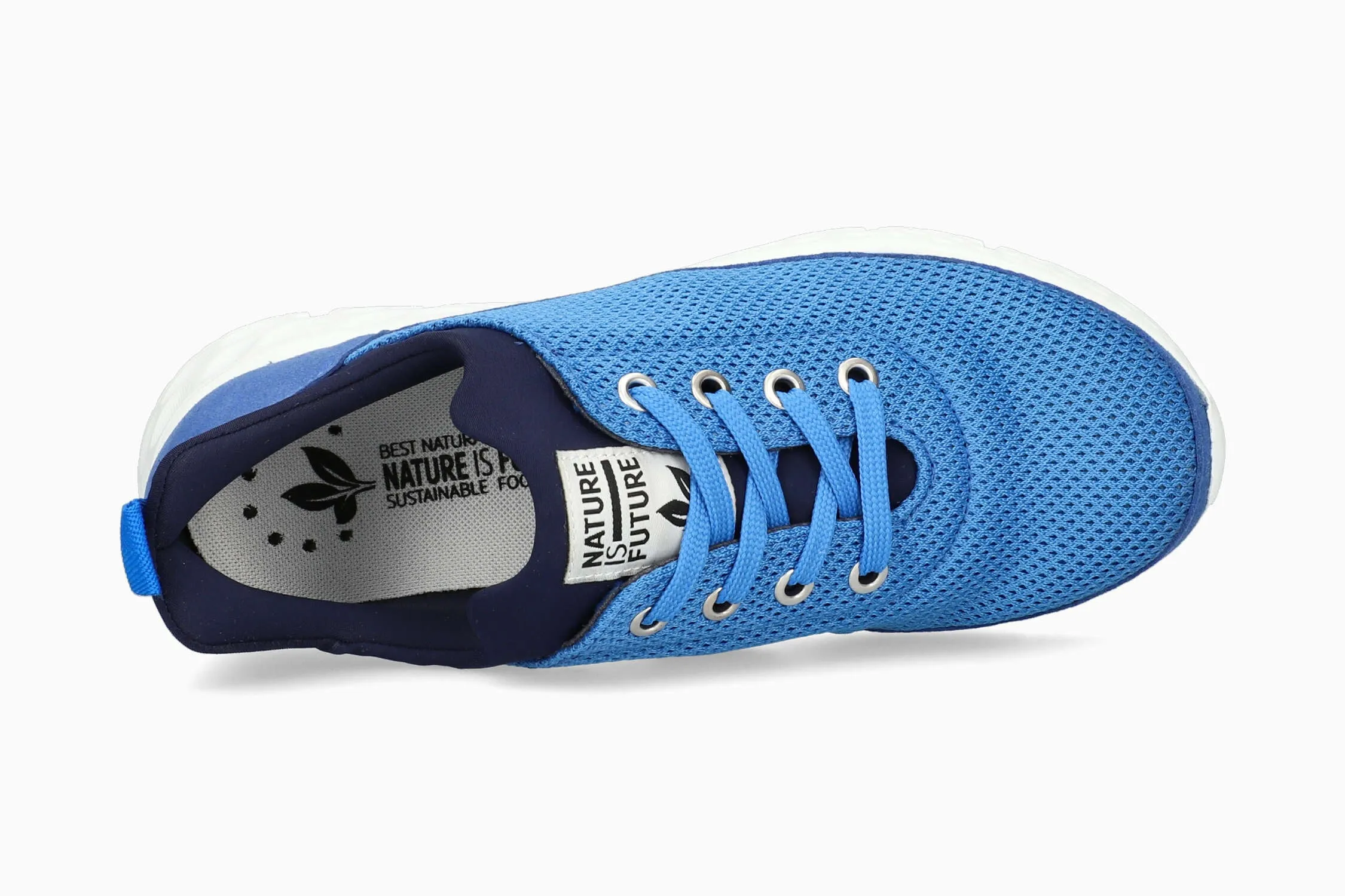 Wing - Electric Blue